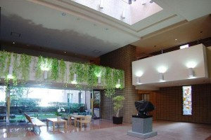 【エントランス】 | ベルテ表参道