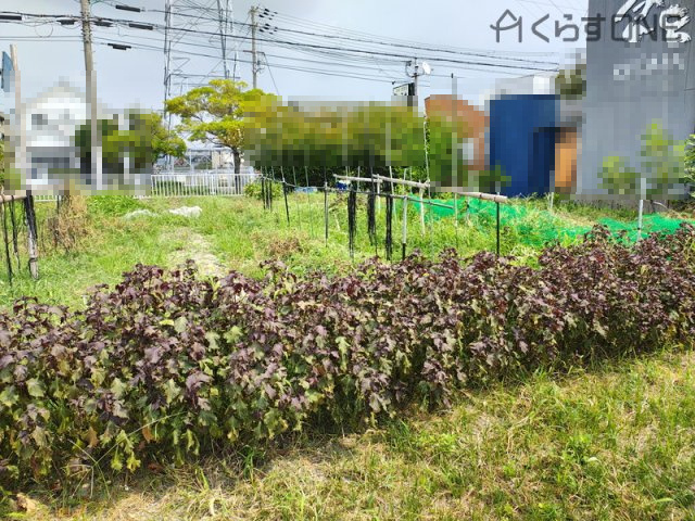 【外観】 | 姫路市網干区垣内中町／売土地