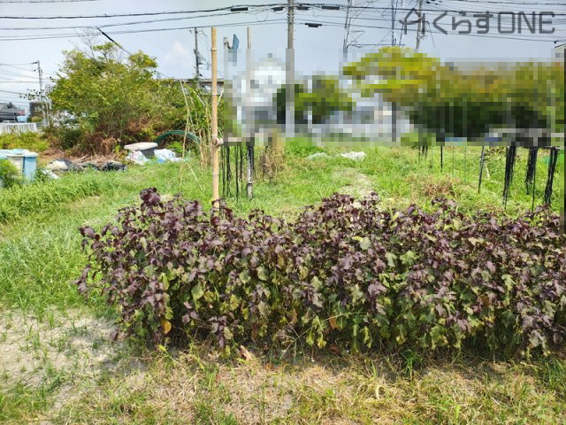 【外観】 | 姫路市網干区垣内中町／売土地