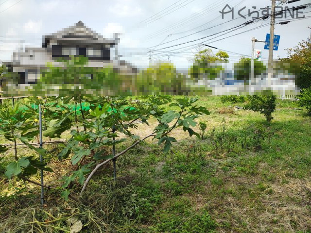 【外観】 | 姫路市網干区垣内中町／売土地
