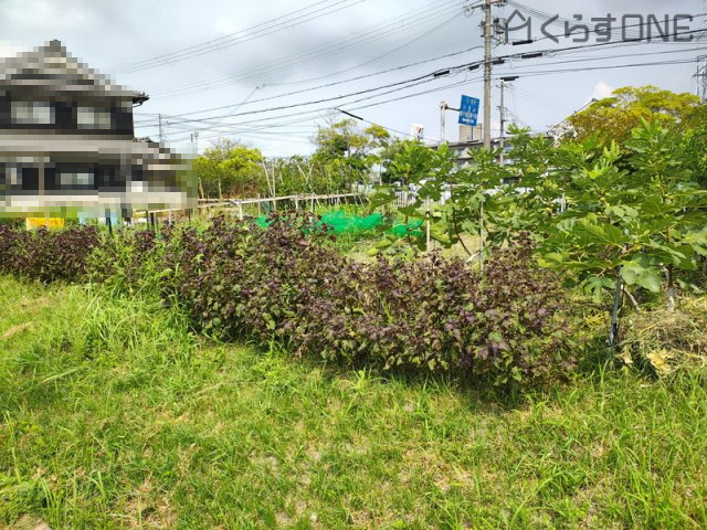 【外観】 | 姫路市網干区垣内中町／売土地