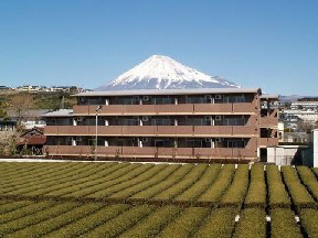 【外観】 | フォレストⅢ