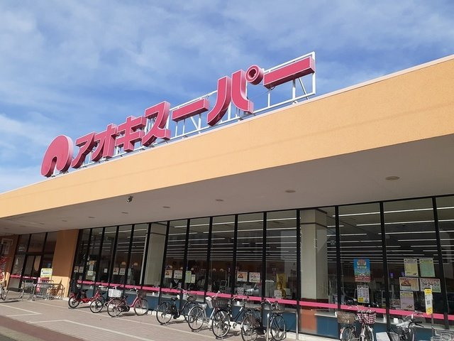 スペランツァ　ルーチェ　Ｂの周辺|アオキスーパー大高店まで1275m