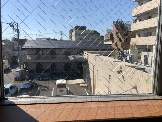 パームテラスの展望