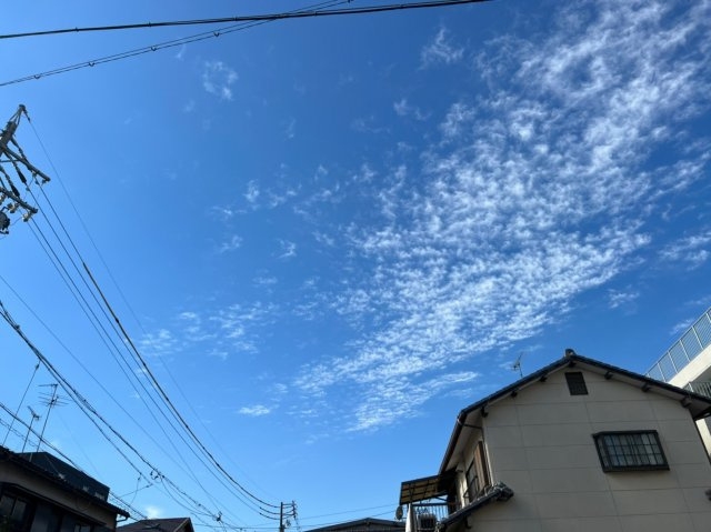 MOVE平安（ムーヴヘイアン）の展望|MOVE平安（ムーヴヘイアン）