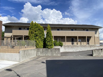 アイリスの画像