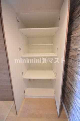 大阪市西区江之子島２丁目の賃貸マンションの収納