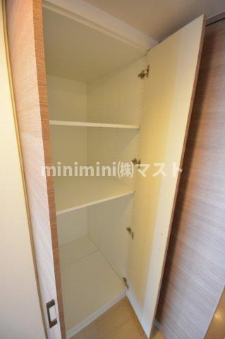 大阪市西区江之子島２丁目の賃貸マンションの収納