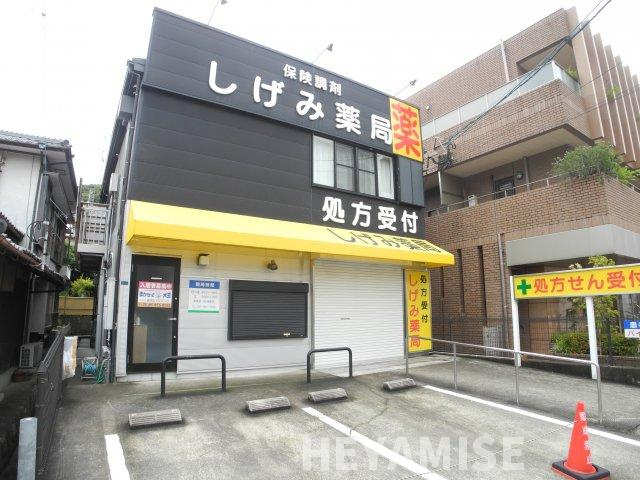 セントポーリア滑石