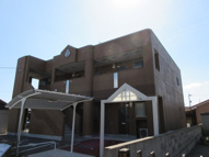 ルミナス・ステラの画像