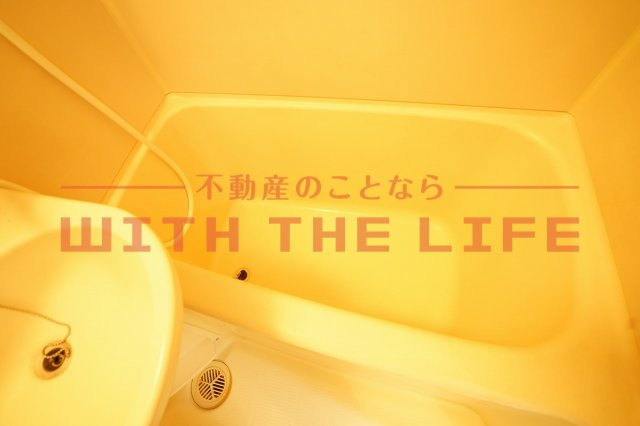 サンヒルズ荘島【キャッシュバック対象】の浴室|日々の疲れを癒すお風呂付です