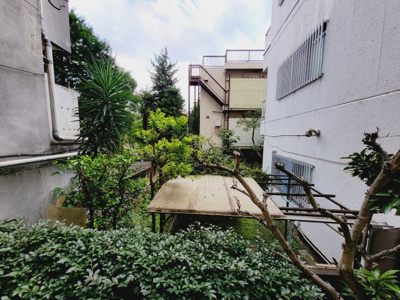 【展望】 | グレース根岸