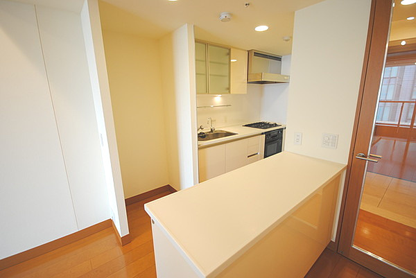 千代田区神田神保町１丁目の賃貸マンション