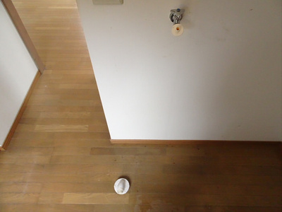 【その他】 | 1stPLANT