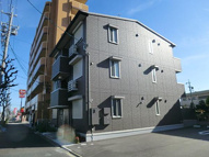 ステラの画像