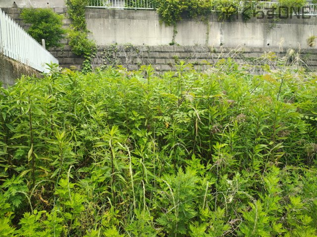 【周辺】 | 姫路市香寺町須加院／売土地