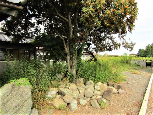 【庭】 | 中古戸建　南アルプス市小笠原 | お庭が付いています！