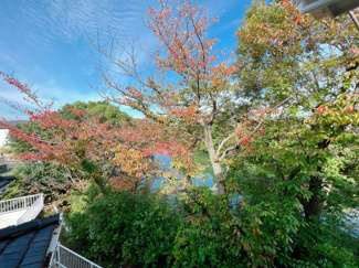 【展望】 | 今の時期は緑がオレンジ色に変わるのを楽しむことができます。毎日変わる風景に心も癒され生活も穏やかに。