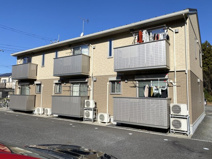 チェスナットの画像