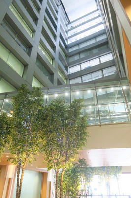 【外観】 | リバーサイド隅田セントラルタワーパレス