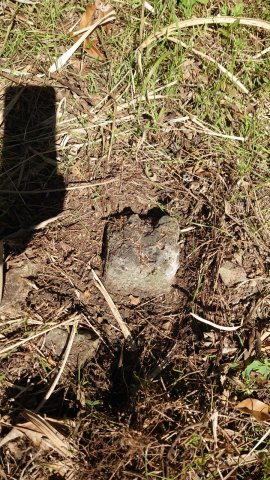 高島市今津町浜分54坪売地のその他|南西側境界