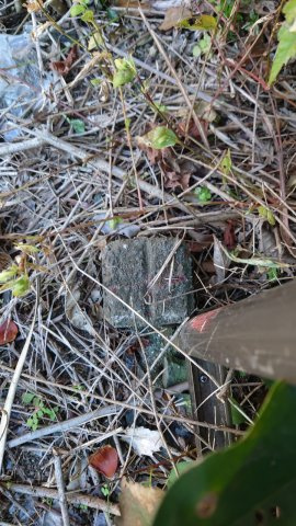 高島市今津町浜分54坪売地のその他|北東側境界