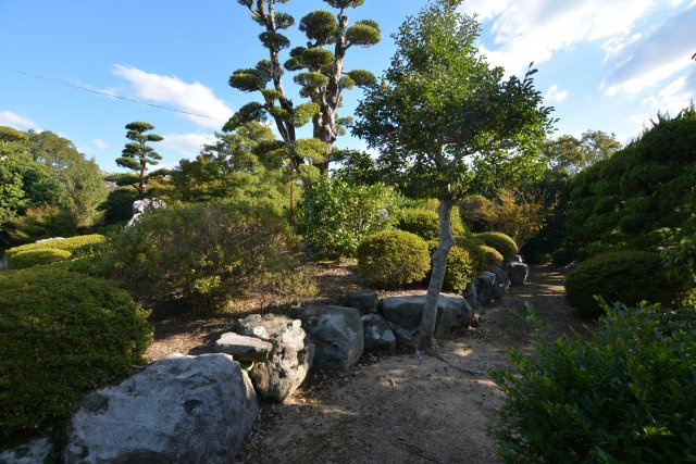 【外観】 | 伊加利戸建て