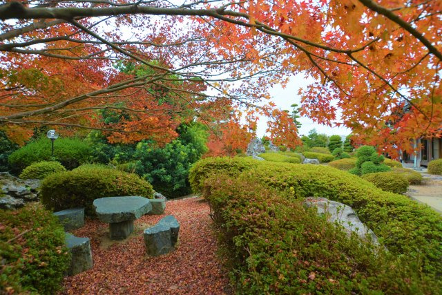 【外観】 | 伊加利戸建て
