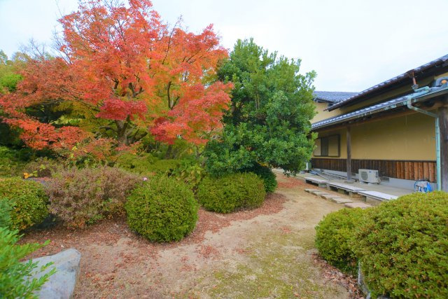 【外観】 | 伊加利戸建て
