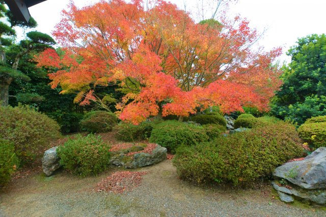 【外観】 | 伊加利戸建て