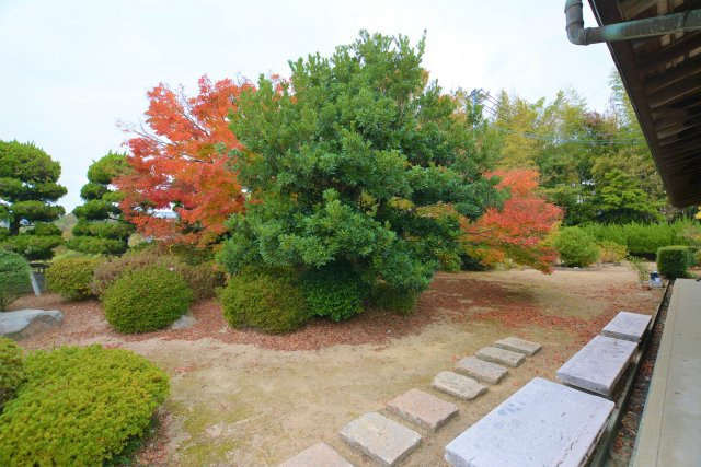 【外観】 | 伊加利戸建て