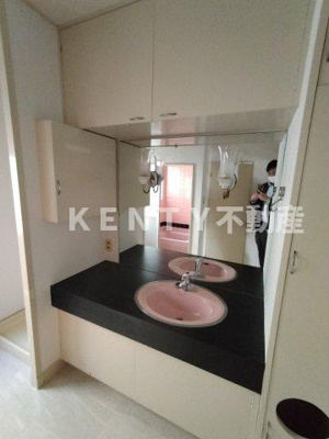 【独立洗面台】 | 西蒲田５丁目戸建 | 独立洗面台、小物を置くことができて便利です