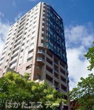 福岡市中央区舞鶴２丁目のマンションの画像