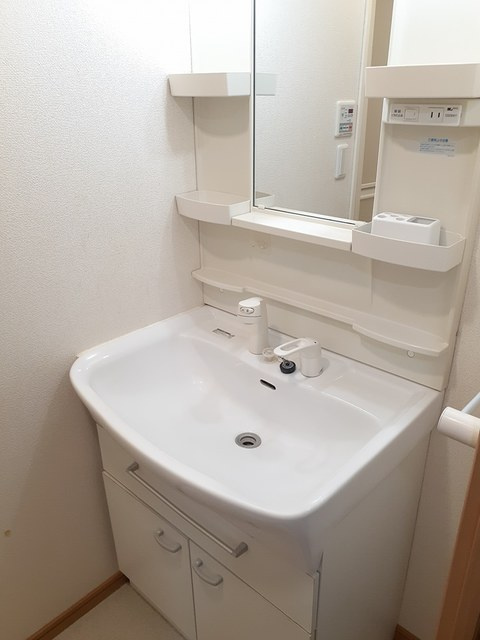 クレオ・テラ本八幡の洗面所