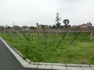 【周辺】 | 建物周辺