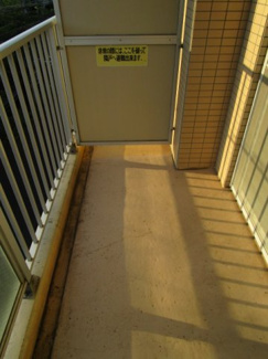 【バルコニー】 | セシーズイシイ6 | ※別室参考写真