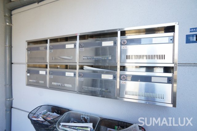 熊本市中央区新大江３丁目の賃貸マンションのエントランス