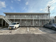 プリムローズ21の画像