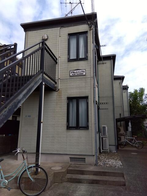 プラムシャンブルの画像