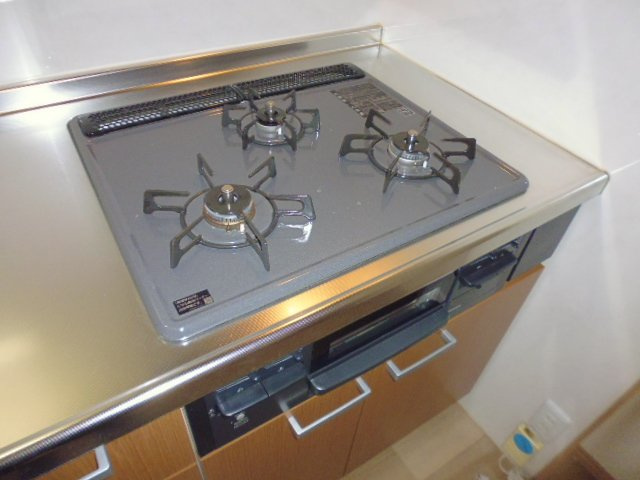 ヴィスタ桑田Ⅱのキッチン