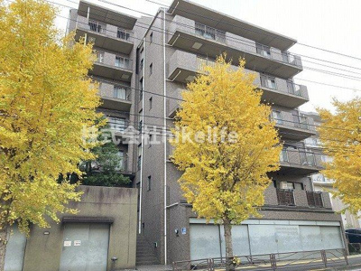 【展望】 | レックス宮前平