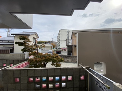 【展望】 | クリスタルアレイ