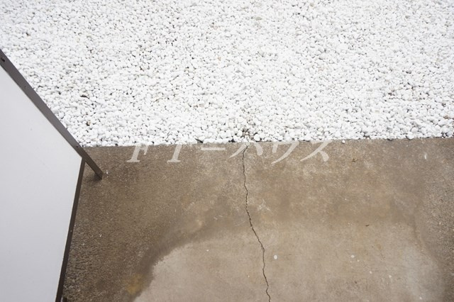 キャスル本郷の庭