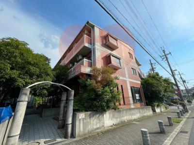 【外観】 | 泉ヶ丘アイビースクエア