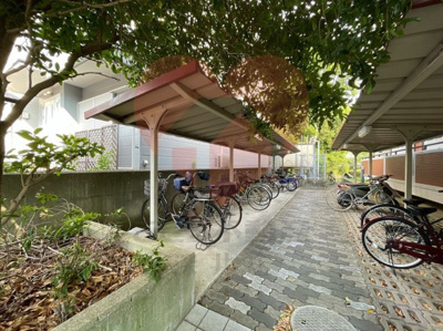  | 泉ヶ丘アイビースクエア