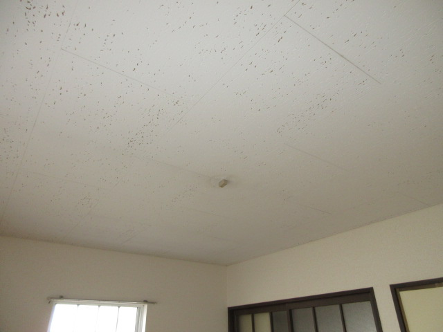 【設備】 | TNハイム