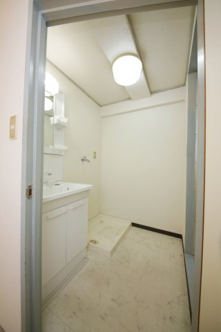 メゾンパークアベニューの独立洗面台