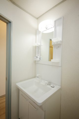 メゾンパークアベニューの独立洗面台