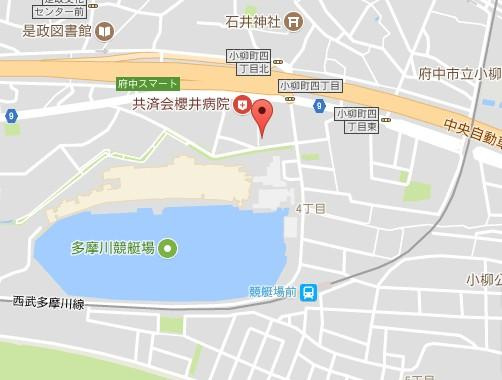 コレマサのその他