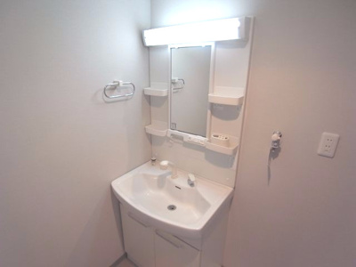 【独立洗面台】 | パレスマイセン | シャンプードレッサー